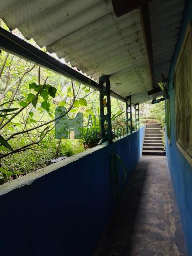 Fazenda, 5800 m² - Foto 10