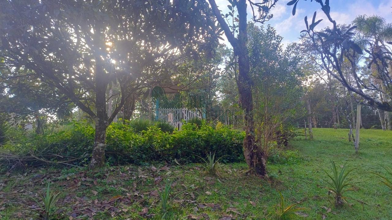 Fazenda, 5800 m² - Foto 16