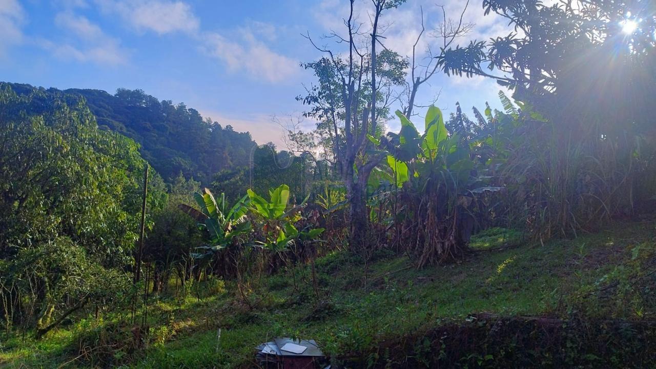 Fazenda, 5800 m² - Foto 18