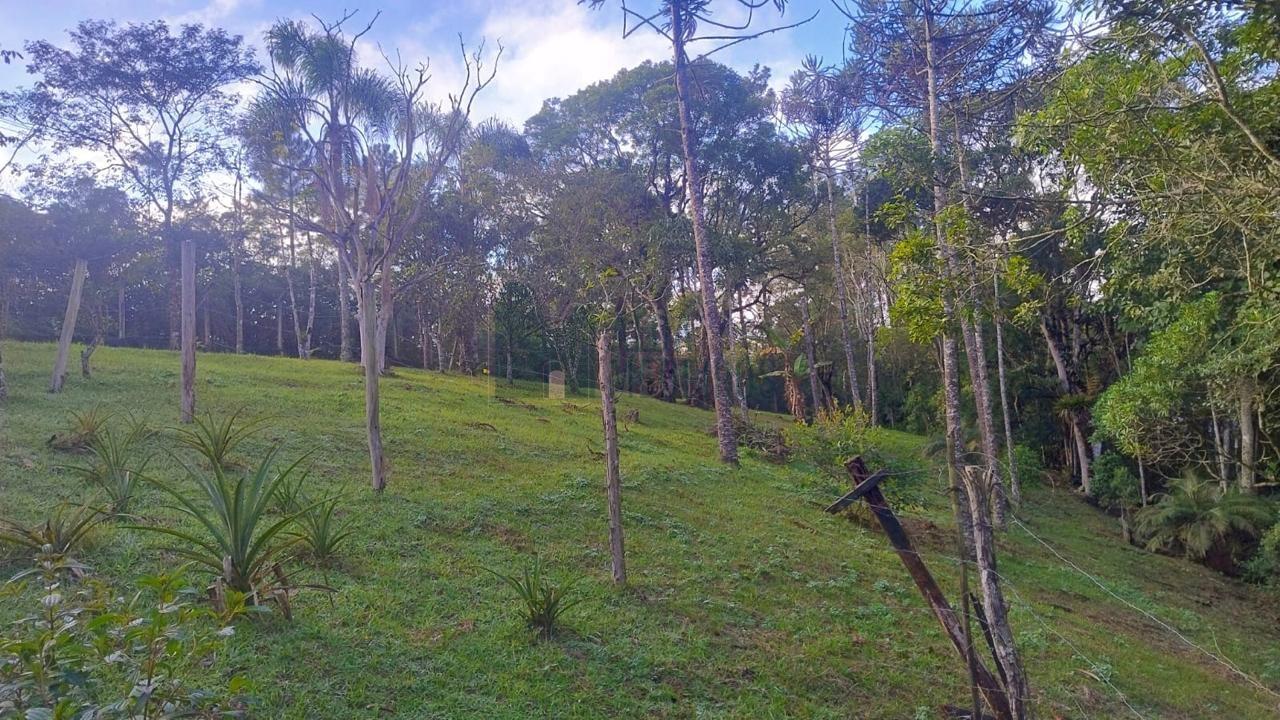 Fazenda, 5800 m² - Foto 17