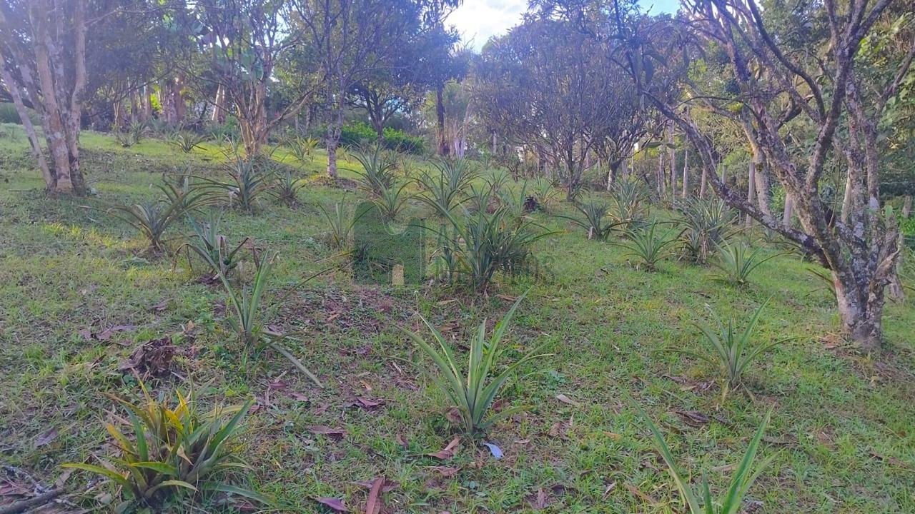 Fazenda, 5800 m² - Foto 19